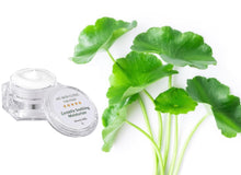 Load image into Gallery viewer, Titanium Microneedle Derma Roller